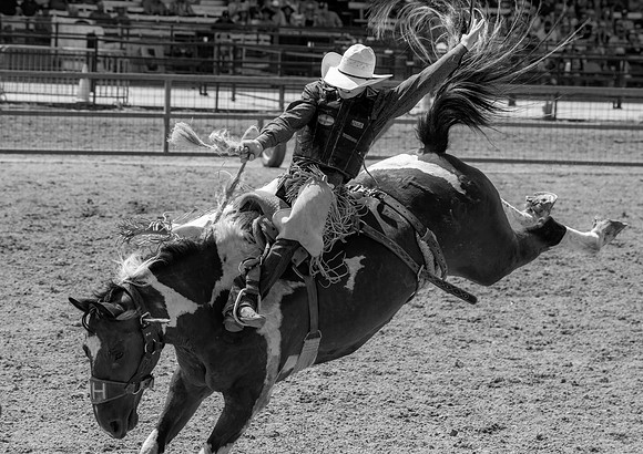 Cheyenne Frontier Days 01