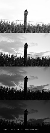8398-8401_progression 1400