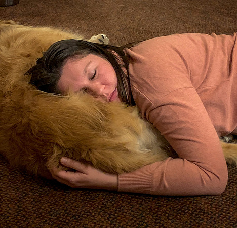 dwf-sleeping-dog